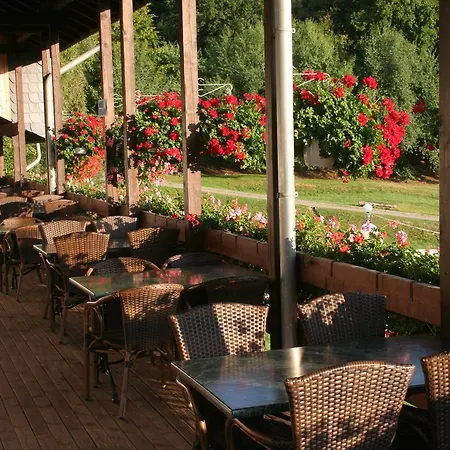 Hotel-restaurant-eifeltor فندق ميشرنيش