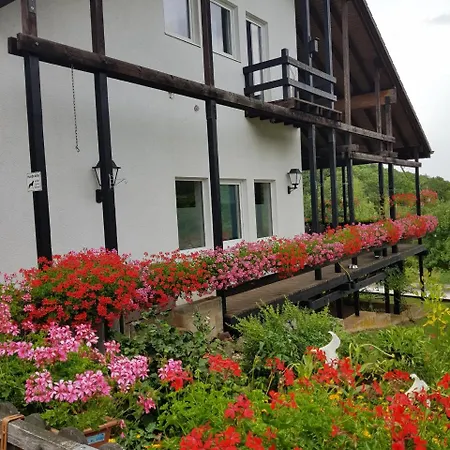 Hotel Hotel-restaurant-eifeltor 3*