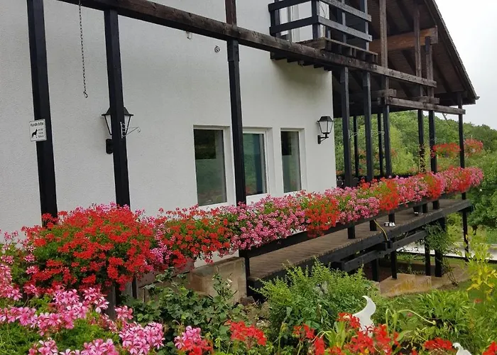 מלון Hotel-restaurant-eifeltor 3*