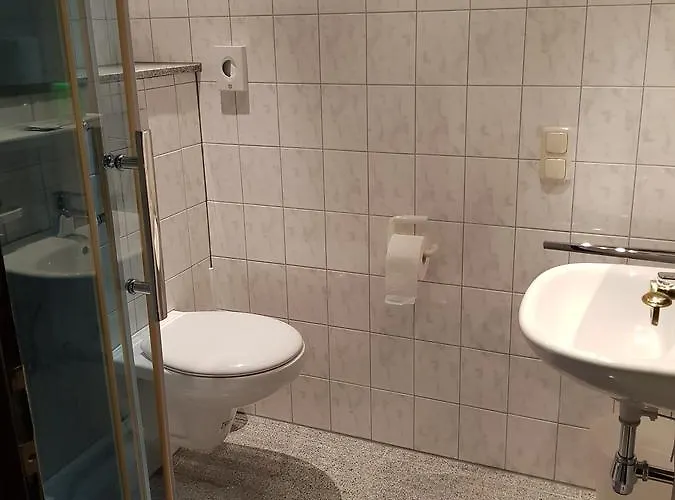 Hotel-restaurant-eifeltor מלון 3*